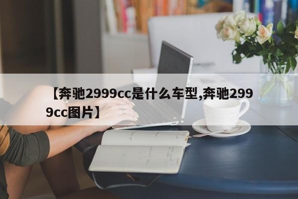 【奔驰2999cc是什么车型,奔驰2999cc图片】