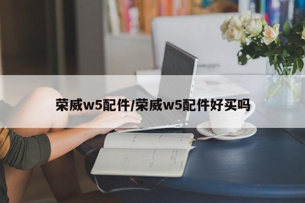 荣威w5配件/荣威w5配件好买吗