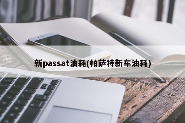 新passat油耗(帕萨特新车油耗)