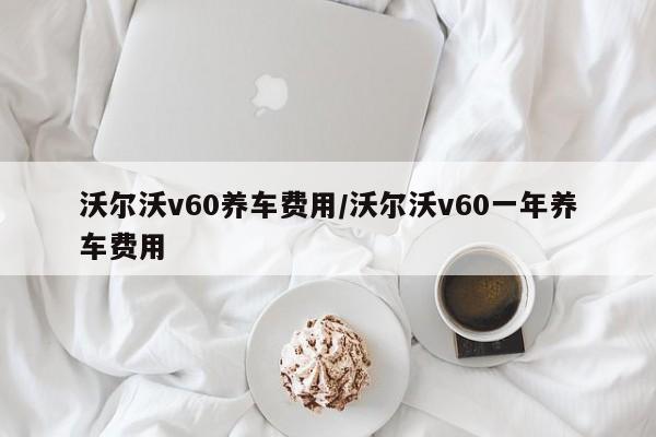 沃尔沃v60养车费用/沃尔沃v60一年养车费用